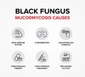 Black Fungus or Mucormycosis Causes in human bodies.