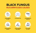 Black Fungus or Mucormycosis Causes in human bodies.