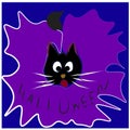 Black funny cat for Halloween decoration.