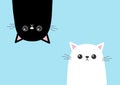 Black funny cat Head silhouette hanging upside down. White kitten head face set. Cute cartoon character Baby collection. Flat desi Royalty Free Stock Photo