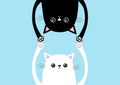 Black funny cat Head silhouette hanging upside down. White kitten hands up. Eyes, paw print. Cute cartoon character set. Baby coll Royalty Free Stock Photo