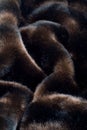 Black fur background. Royalty Free Stock Photo