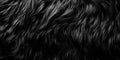 Black fur background in deep dark color. Detailed texture with copy space Royalty Free Stock Photo
