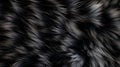 Black fur close up. Natural animal furry texture. Fur of a black panther, cat, dog, bear, fox. Concept is Softness