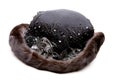 Black Fur Women Hat Studio White Background Royalty Free Stock Photo