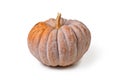 \'Black Futsu\' pumpkin squash with mature grey and orange skin