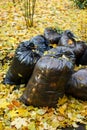 Black garbage bags filled with fallen leaves