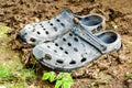 Black garden shoes of crocs style Royalty Free Stock Photo