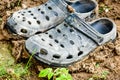 Black garden shoes of crocs style Royalty Free Stock Photo