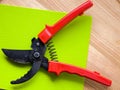 Black garden pruner with red handles Royalty Free Stock Photo