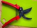 Black garden pruner with red handles Royalty Free Stock Photo