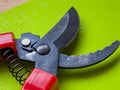 Black garden pruner with red handles Royalty Free Stock Photo