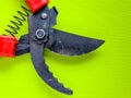 Black garden pruner with red handles Royalty Free Stock Photo