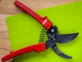 Black garden pruner with red handles Royalty Free Stock Photo