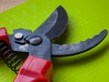 Black garden pruner with red handles Royalty Free Stock Photo