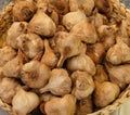 Black garlic bulbs