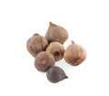 Black garlic bulbs and cloves isolated on white background Royalty Free Stock Photo