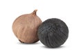 Black garlic bulbs on white background Royalty Free Stock Photo