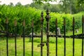 Metal entrance gate to an old cemetery in Sweden Royalty Free Stock Photo