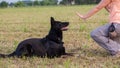 Black German Shepherd training Down command