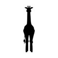 Black giraffe silhouette front view flat style, vector illustration Royalty Free Stock Photo
