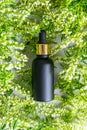 Black glass dropper bottle with a scattering of fragrant wildflowers. View from above. Natural cosmetics and skin care. Aroma