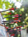 Black glass fibre archery crossbow bolts with plastic colour vanes on house-made practice target in private backyard garden outdoo