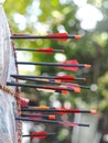 Black glass fibre archery crossbow bolts with plastic colour vanes on house-made practice target in private backyard garden outdoo