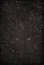 Black glitter background, festive sparkle texture. Xmas, holiday, party abstract backdrop