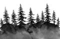 Black gloomy forest, spruce watercolor, background