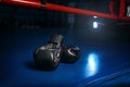 Black gloves on the ring, boxing concept, nobody Royalty Free Stock Photo