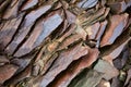 Black Gobi. Stony desert consisting of black stones. Abstract natural background Royalty Free Stock Photo