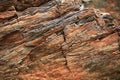 Black Gobi. Stony desert consisting of black stones. Abstract natural background Royalty Free Stock Photo