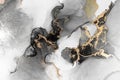 Black gold abstract background of marble liquid ink art painting on paper .