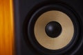 Black and gold audio ecstacy Royalty Free Stock Photo