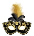 Black gold carnival mask withblack gold feathers