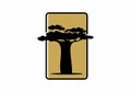 Black gold color of baobab tree