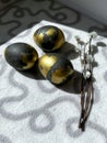 Black and gold eggs lie on a light blanket on the windowsill under the rays of the sun, next to a bunch of willow.