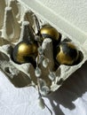 Black and gold eggs lie in a tray on a light background under the rays of the sun, next to a bunch of willow.