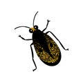 Black and gold glitter bug beetle, celestial vector fairy insect golden illustration