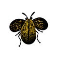 Black and gold glitter bug beetle, celestial vector fairy insect golden illustration