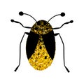 Black and gold glitter bug beetle, celestial vector fairy insect golden illustration