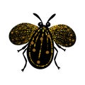 Black and gold glitter bug beetle, celestial vector fairy insect golden illustration