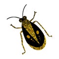 Black and gold glitter bug beetle, celestial vector fairy insect golden illustration