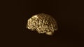 Black and Gold Human brain Anatomical Model