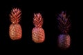 Black and gold pineapple on black background Royalty Free Stock Photo