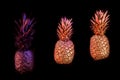 Black and gold pineapple on black background Royalty Free Stock Photo