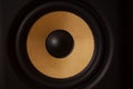 Black and Gold Speaker Royalty Free Stock Photo