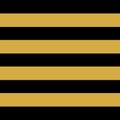 Black and gold stripes background Royalty Free Stock Photo