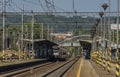 Black gold train in Zabreh station in summer day